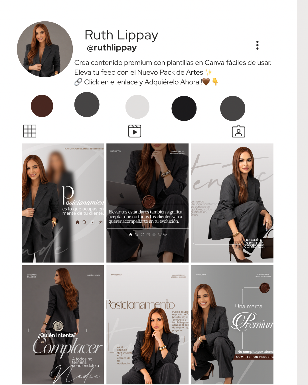 Ejemplo de feed elegante completo en Instagram con Luxe Art
